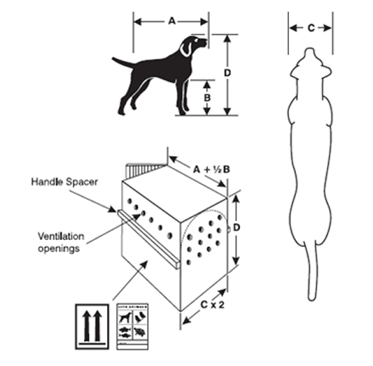 Pet Cargo